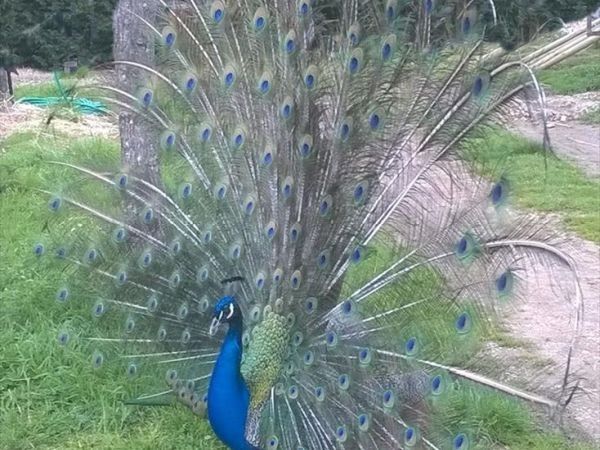 La Casa di Campagna - foto 28733.jpg