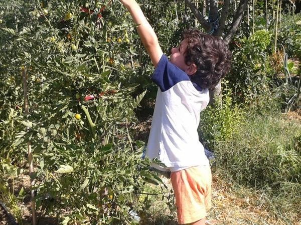 La Casa di Campagna - foto 28736.jpg