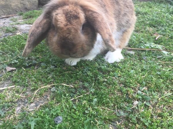 La Fattoria di Valentina - foto 28881.jpg