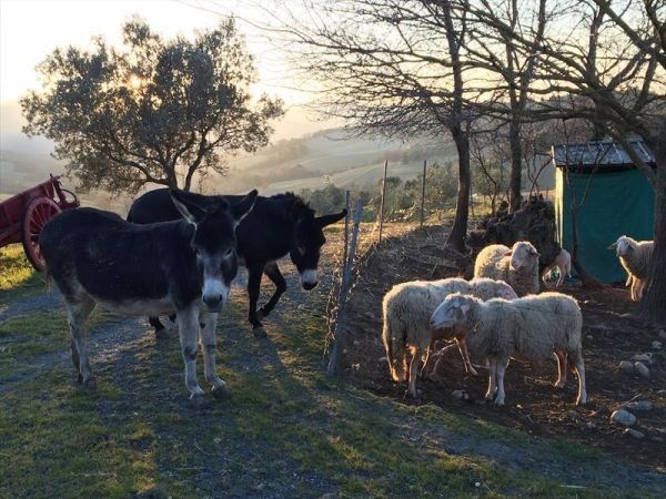 La Fattoria di Valentina - foto 28883.jpg