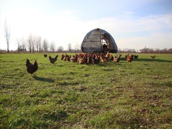 Agriturismo Cascina Santa Brera - foto 28941.jpg