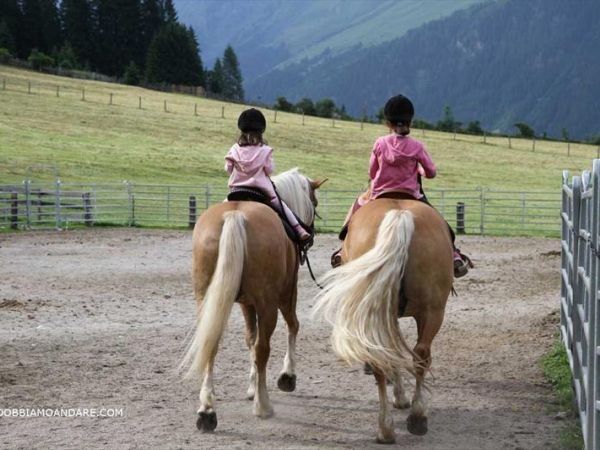 Panoramahotel Taljorgele - foto 29117.jpg