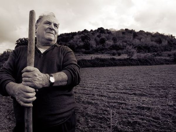 Agriturismo Monte due Torri - foto 29122.jpg