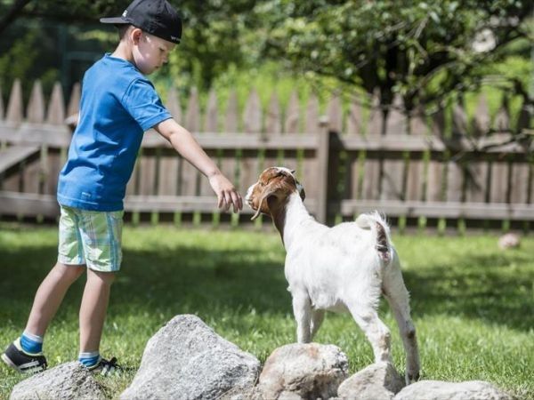 Romantik Hotel Stafler - foto 29170.jpg