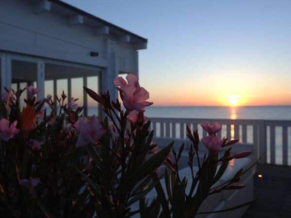 Natural Village - foto 29230.jpg