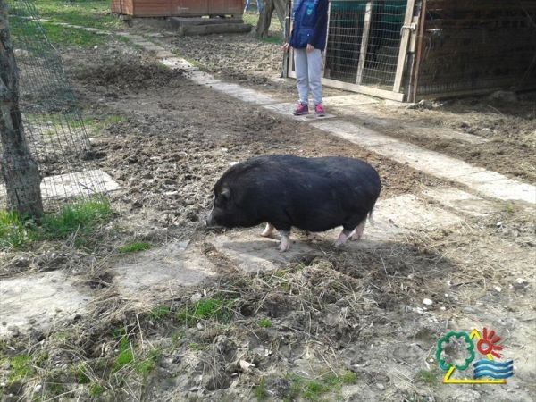 Garden Village San Marino - foto 29274.jpg