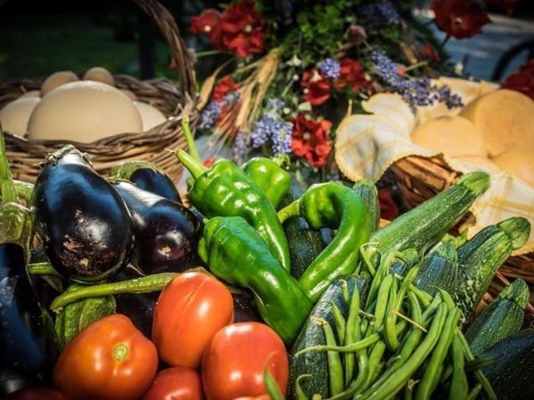 Agriturismo la Fattoria - foto 29718.jpg