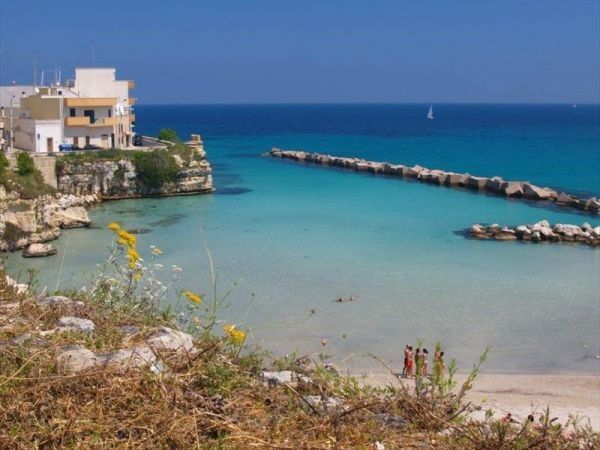 Agriturismo la Fattoria - foto 29722.jpg