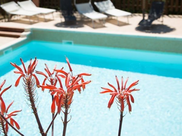 Agriturismo Serraiola Alta - foto 29747.jpg