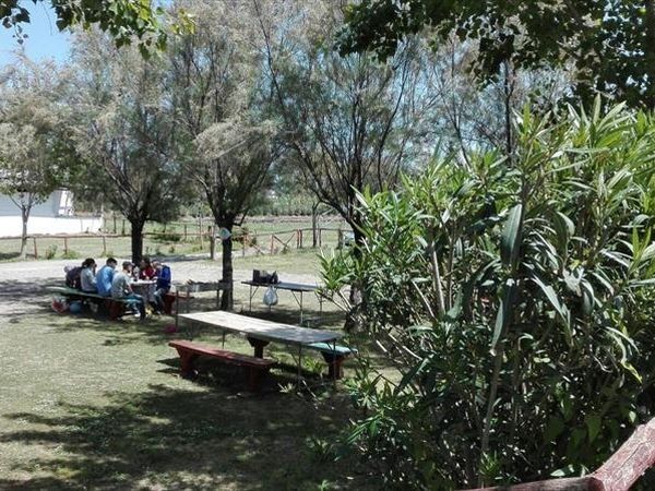 Hotel Rosy - foto 29771.jpg