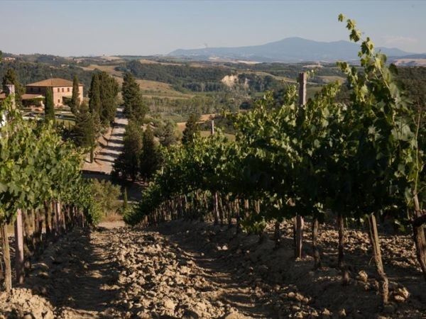 San Lorenzo Agriturismo - foto 29897.jpg