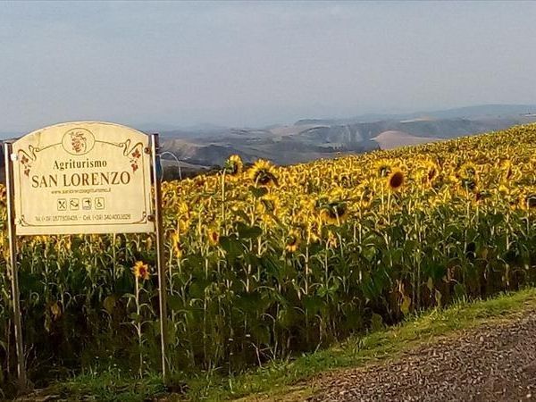 San Lorenzo Agriturismo - foto 29907.jpg