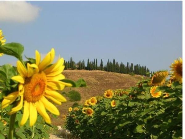 San Lorenzo Agriturismo - foto 29908.jpg