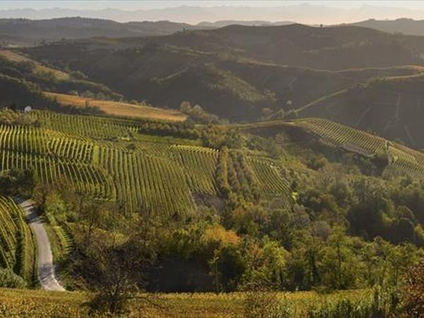 Agriturismo Il Ciliegio - foto 29919.jpg