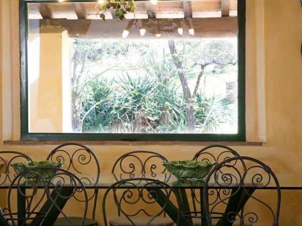 Tenuta di Ghizzano - foto 29972.jpg