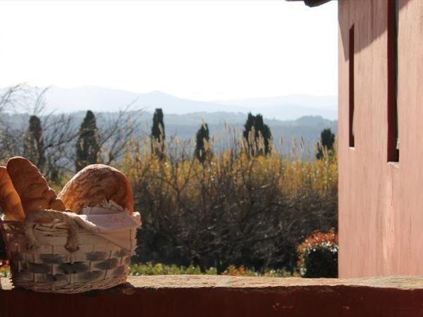 Tenuta di Ghizzano - foto 29979.jpg