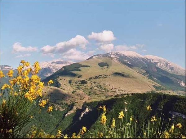 Agriturismo Pietrantica - foto 7366.jpg