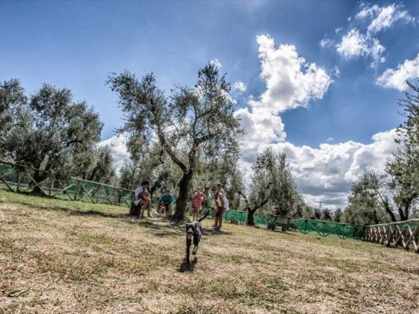 Sea Garden Club - foto 30076.jpg