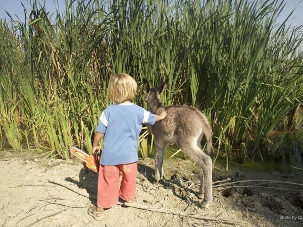 Agriturismo Quarantallina - foto 30469.jpg