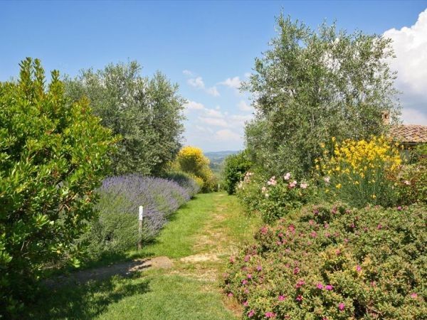 Podere il Pino - foto 30598.jpg