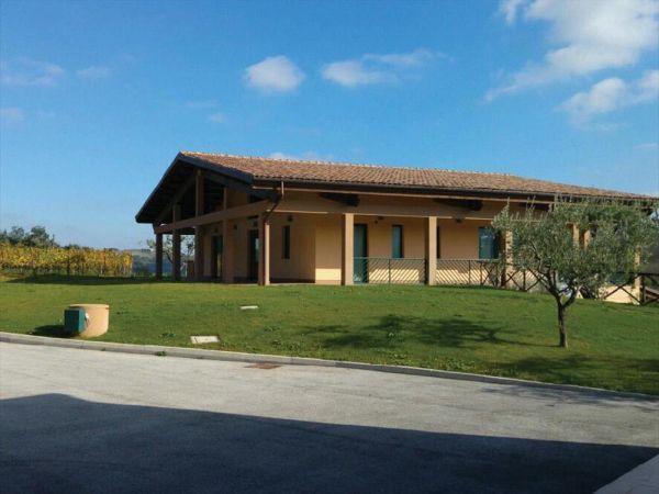 Le Vigne Di Clementina Fabi - foto 30634.jpg