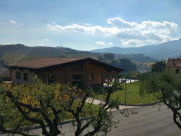 Le Vigne Di Clementina Fabi - foto 30635.jpg