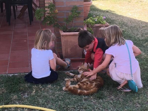 Metina - foto 30656.jpg