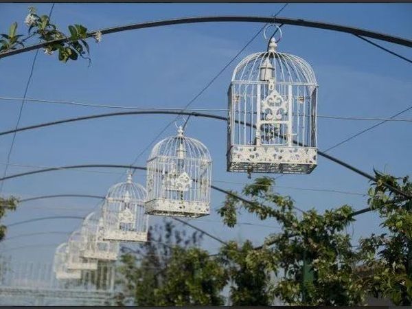 Tenuta San Marcello  - foto 30849.jpg