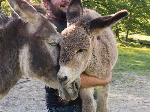 Fattoria di Germagnano - foto 31160.jpg