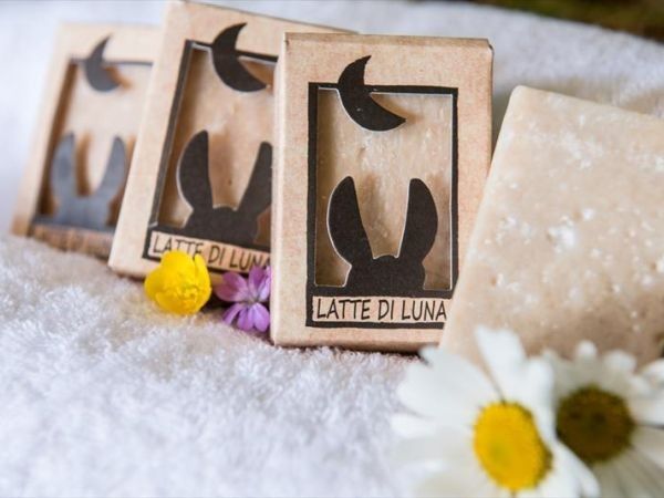 Fattoria di Germagnano - foto 31167.jpg