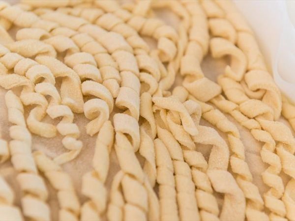 Fattoria di Germagnano - foto 31171.jpg