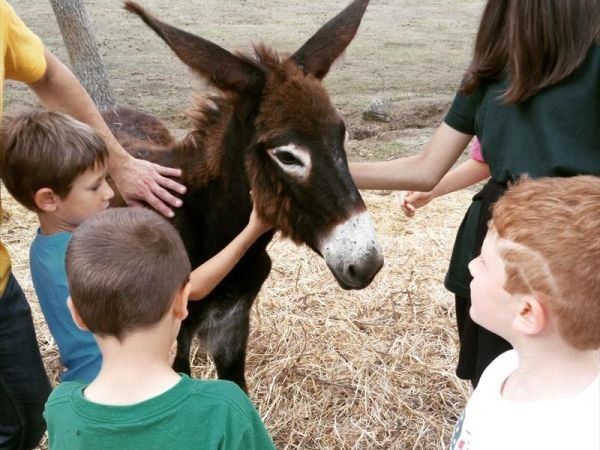 Fattoria di Germagnano - foto 31176.jpg
