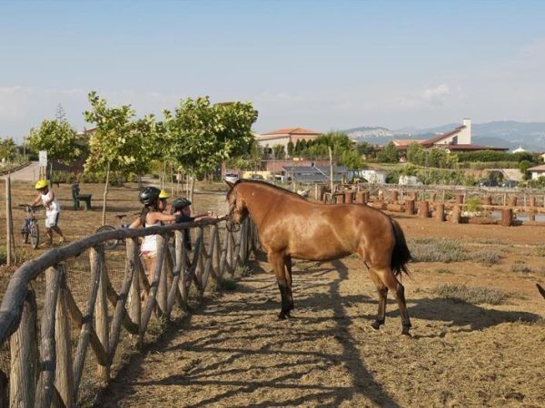 Popilia Resort - foto 31480.jpg