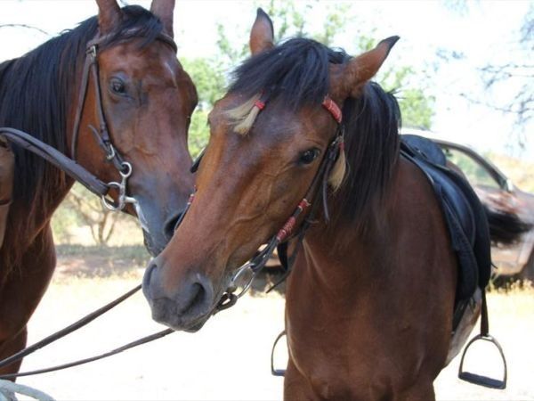Torre Sant´Antonio - foto 31568.jpg