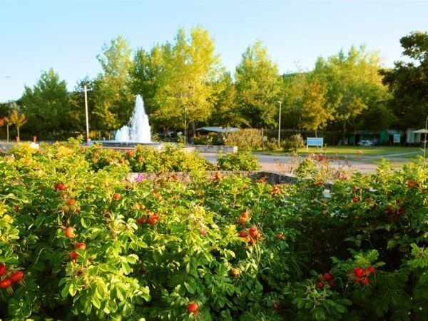 Camping Village Parco delle Piscine - foto 31643.jpg