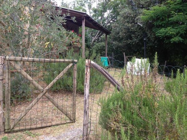 Bio agriturismo Orgiaglia - foto 31776.jpg