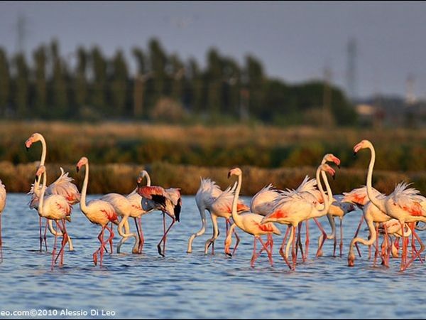 Hotel l´Approdo - foto 31789.jpg