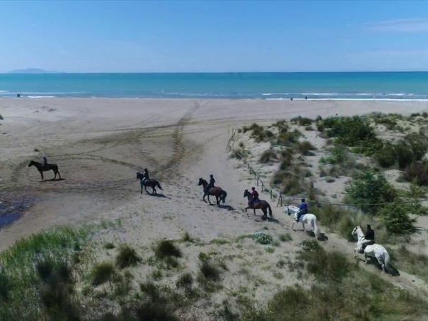 Hotel l´Approdo - foto 31796.jpg