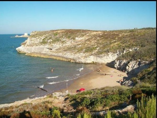 Pizzicato Case Vacanze  - foto 31868.jpg