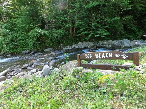 Agriturismo La Valle dei Castagni - foto 32215.jpg