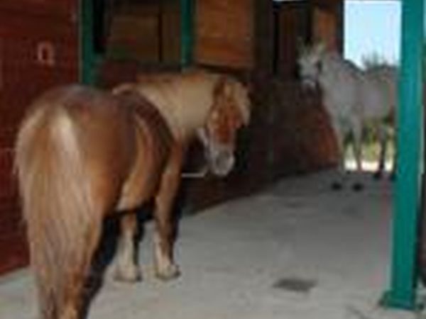 S.Margherita - foto 32704.jpg