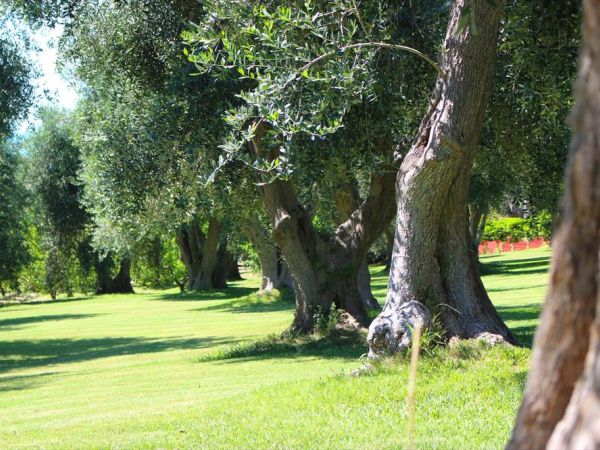 Villaggio Uliveto - foto 33337.jpg