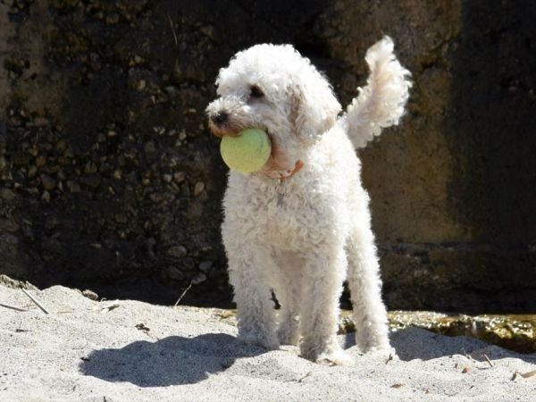 Baia del Silenzio Resort   - foto 33355.jpg