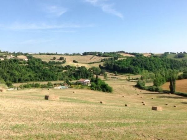 Agritruismo San Martino  - foto 33462.jpg