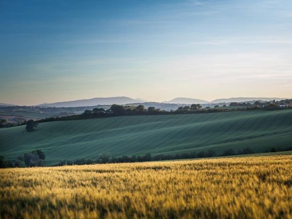 Divin Amore - foto 33474.jpg