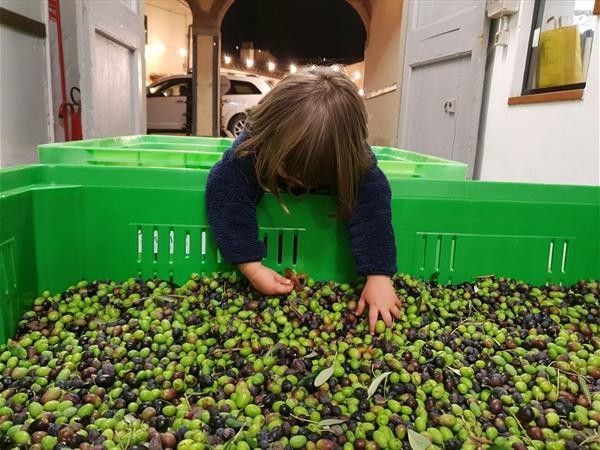 Fattoria di Maiano - foto 33640.jpg