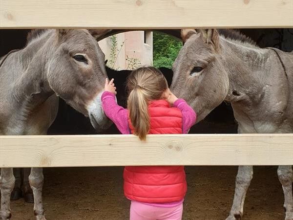 Fattoria di Maiano - foto 33646.jpg