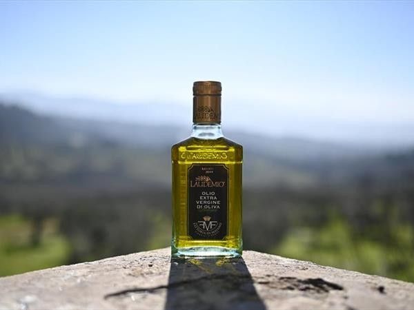 Fattoria di Maiano - foto 33653.jpg