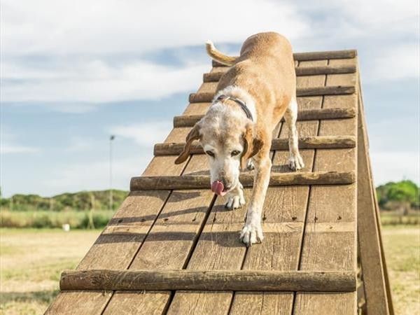 Gitavillage Club Degli Amici - foto 33768.jpg