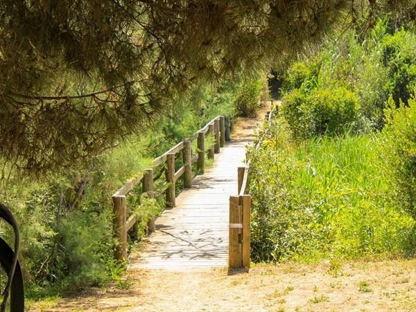 Gitavillage Club Degli Amici - foto 33871.jpg